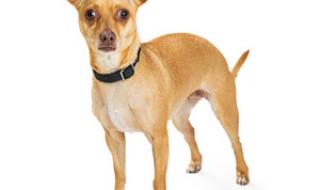 杭州金娃娃儿童摄影